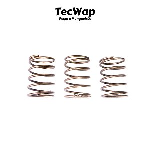 3 Molas do Pistão Electrolux Wap Mini Antiga