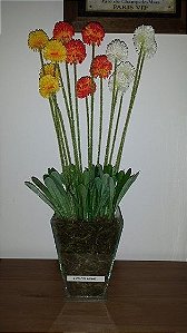 Vaso Flor de Alho