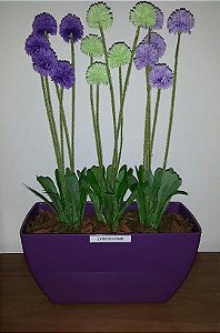 Jardineira Lilás