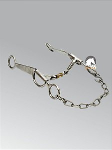 Bridão Fernandinho Com Salivador - Inox