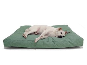 Futon Cachorro Grande Impermeável Acquablock® Verde Hortelã