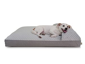 Cama Divã Cachorro Grande Pelúcia Bubble e Acquablock® Cinza Grafite