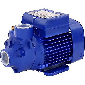 Bomba Periférica Ksb P1000 NG  Monofásica 110/220 Volts 1,0Cv