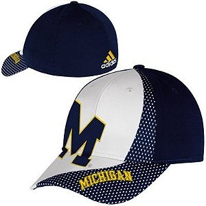 Michigan Wolverines '47 Brand Classic Franchise Fitted Hat – Navy Blue -  College Importados