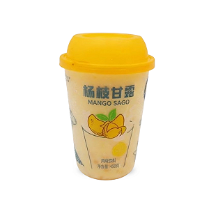 BEBIDA DOCE COM GELATINA NATA DE COCO SABOR MANGA - 450g
