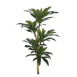 Dracena Real Toque Verde 1,25m