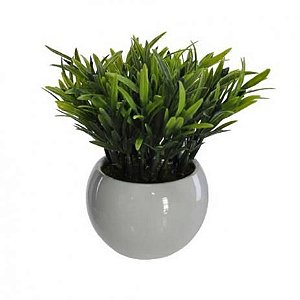 Vaso Decorativo Podocarpus Verde 13cm