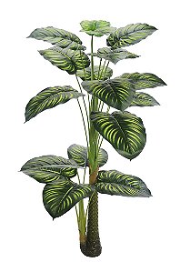 Árvore Calathea Permanente 1,25m Planta Artificial