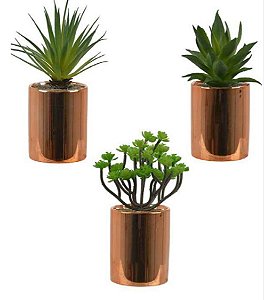 Suculentas Montadas em Vasos de Cerâmica 22cm Kit com 3