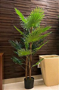 Palmeira Leque Real Toque Verde c/ pote Árvore Artificial 1,20m