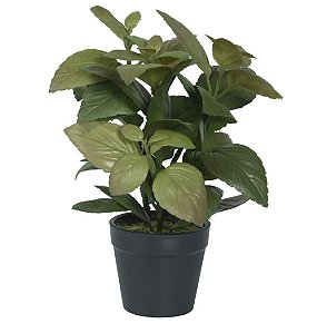 Arranjo com Folhas de Manjericão no Pote x48 22cm