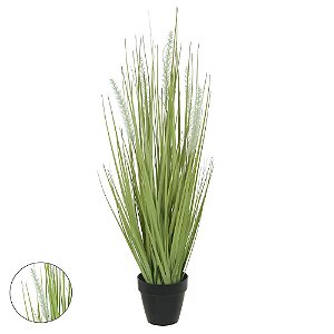 Planta Grass Permanente c/ Pote 69cm Verde Creme