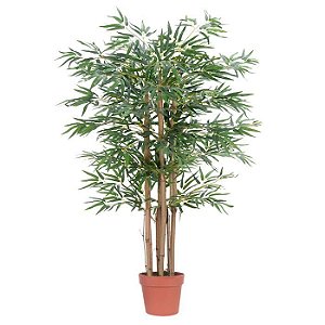 Bambu Real Toque Planta Permanente c/ Pote