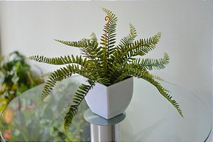 Arranjo Samambaia Permanente no Vaso de Vidro Branco de 13cm