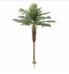 Palmeira Phoenix Toque Real 1,80m Planta Permanente Linha Premium