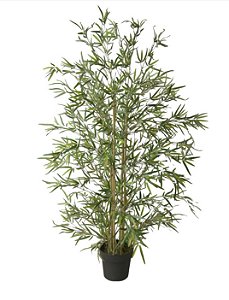 Bambu Permanente c/pote - Linha Premium