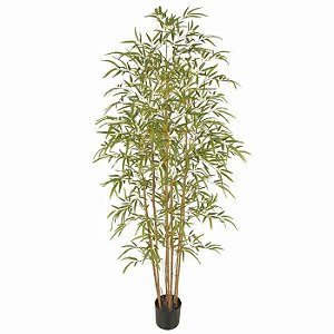 Bambu Permanente Real Toque 1,80m