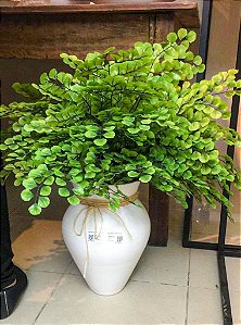 Planta Avenquinha Permanente 58cm  - Apenas a Planta (12 hastes)