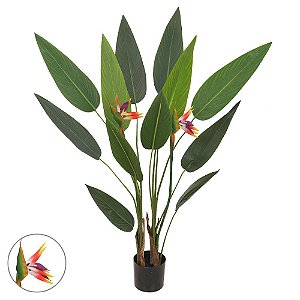 Estrelicia 1,25m com Pote PLANTA PERMANENTE LINHA PREMIUM