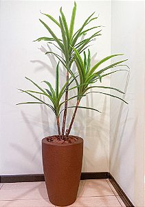 Palmeira Dracena Real Toque x51 1,4m (Verde Creme)