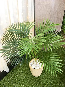 Palmeira Areca Real Toque x15 90cm
