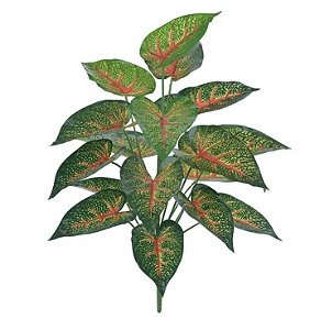 Planta Caladium Real Toque x18 60cm