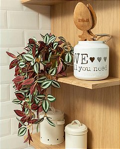 Folha de lambari Real Toque pendurar 55cm (Apenas a Planta)