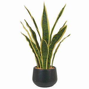 Espada de São Jorge Artificial Verde Amarelo com Pote 53cm