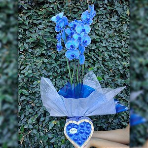 Orquídea Azul e Coração de Bombons