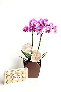Luxuosa Orquídea Exótica com Ferrero Rocher