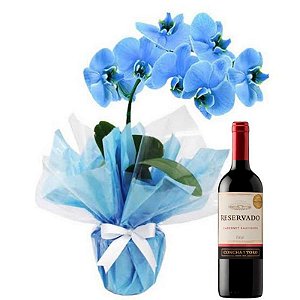 Luxuosa Orquidea Azul e Vinho Reservado