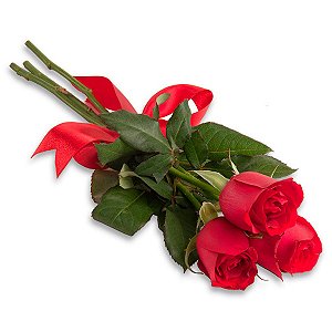 Trio de rosas vermelhas pra você