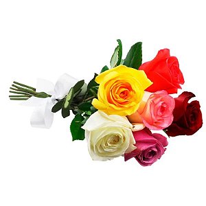Buque de 6 rosas coloridas