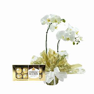 Orquídea Phalaenopsis Plantada Branca 2 Haste Com Ferrero 100g