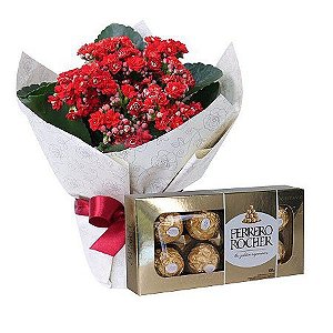 Flor da Fortuna Vermelha com Ferrero Rocher 100g 8un