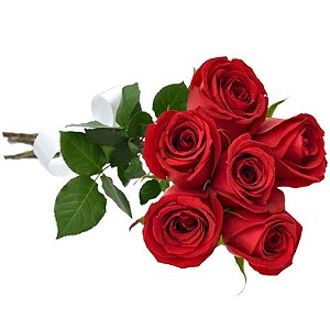 Buque Premium de 6 Rosas Nacionais Vermelhas