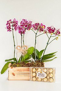 Cache pó duplo de orquídeas exóticas com Ferrero Rocher
