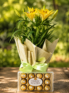 Lírio Amarelo Plantado com Ferrero Rocher