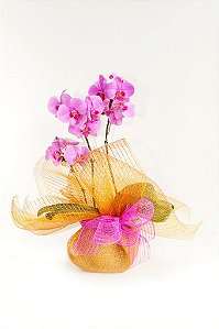 Orquídea Cascata Pink com Astes Duplas