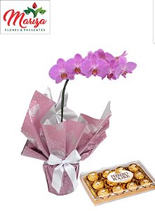 Orquídea Phalaenopsis Plantada Pink 1 Haste com Ferrero 150g