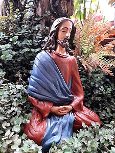JESUS, O CRISTO, MEDITANDO