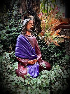 JESUS, O CRISTO, MEDITANDO