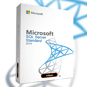 Windows 11 Professional ESD - Download + Nota Fiscal - Cobype - Revenda  Autorizada Microsoft