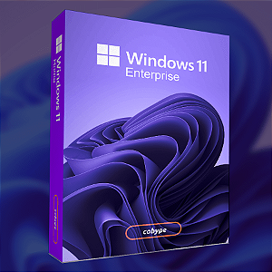 Windows 11 Professional ESD - Download + Nota Fiscal - Cobype - Revenda  Autorizada Microsoft