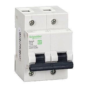 MINI-DISJ. EASY9 BIP. C 125A 4,5KA/220V (NM 60947-2)