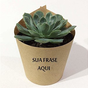 MINI SUCULENTA PERSONALIZADA