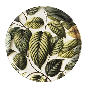 Conjunto 6 Pratos Rasos Bio Eden - Porto Brasil