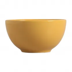 Conjunto 6 Bowls Slim Moustard - Alleanza