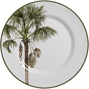 Conjunto 6 Pratos Rasos Malibu - Alleanza