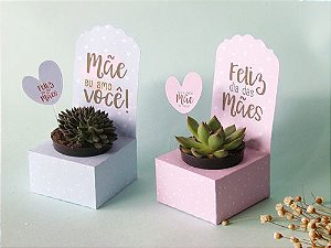 Embalagem para mini suculenta dia das mães